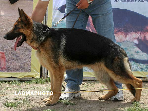 VV5 7012 Adef von JingXin 公 2007-06-08 CWN1415 CSZ48890 段三小