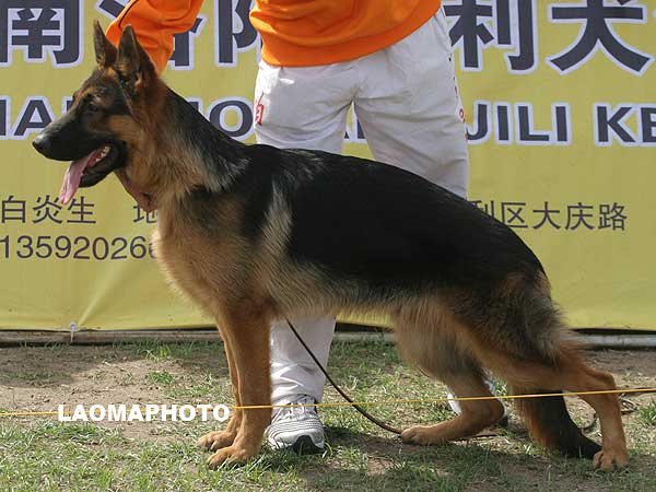 VV4 9008 Wanglai vam Mgjorland 公 2007-10-5 007-198 CSZ8001810 李经涛