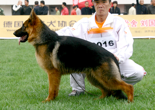 VV2 9016 Michal von HeNanXinXin 公 2007-10-10 CHS4202 CSZ61499 李长岭