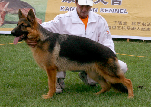 VV3 9022 Wanglai vam Mgjorland 公 2007-10-5 007-198 CSZ8001810 李经涛