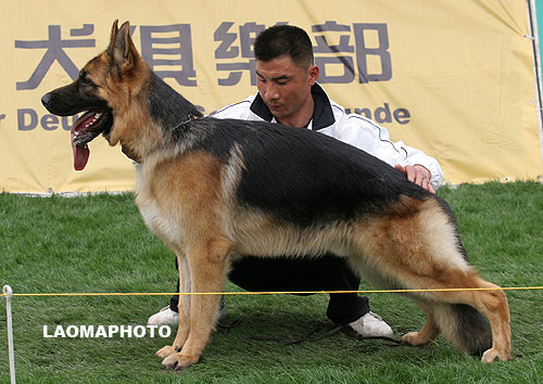 SG4 5022 Marr von XuYang 公 2006-11-24 CSN6455 CSZ39529 毋军