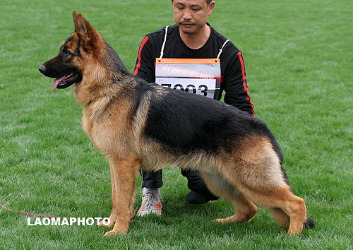 V 　7003 　Inke von GuiZu 公 2007-04-23， CWS1373　CSZ47387　 李祥