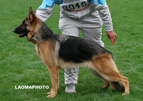 VV4 8016 Aegis von JiangZhou 母 2007-06-01 CXF2315 CSZ56820 赵建民