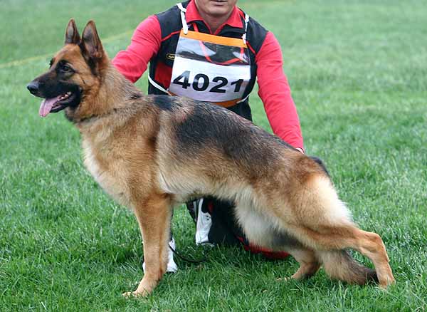 SG5 4021* Canti von P&D 母 2006-08-03 CFN2194 CSZ34408 顾宏伟
