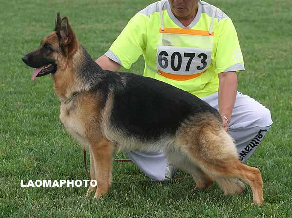 SG5 6073 Aice von GuangYou 母 2006-11-18 CTS2805 CSZ40408 郑世珍