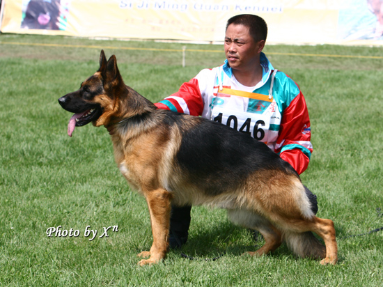 V5 1046* Belisar von Aurelius 公 2006-05-15，R-C0415，CSZ8001834，李保成