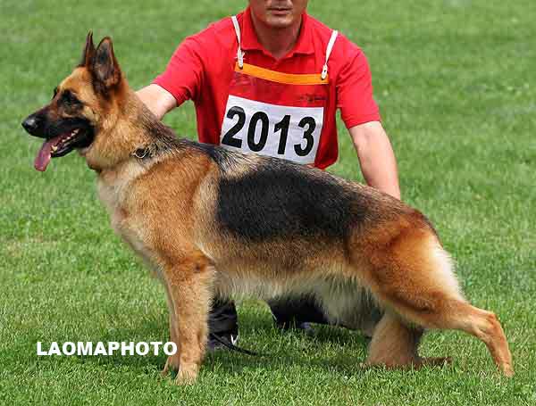 V5 2013* Backara von YiHe 母 2005-10-28，CEN2951，CSZ25738，李子毅