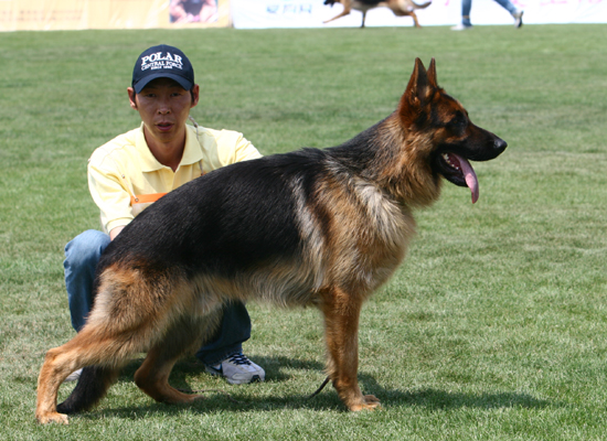 SG5　5023，I-Dink of Golden Rule，公，2007-04-26，T512，CSZ8001862，赵龙文