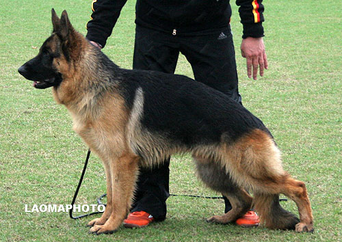 SG3 5032 Hart von WeiSheng 公 2007-02-23 CJS4118 CSZ47768 李波
