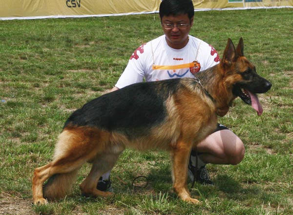 SG5　3001　Lang von HuHong　公　2007-03-01　CRS2164　CSZ47844　牟天雄