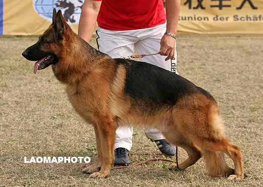 1046*　 V2　Aurasi Du Val D'Anzin 　公 2005-04-06 　2EHN217　 CSZ8001160　翟所庆