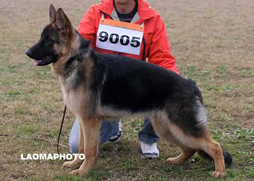 9005　VV3　Brian von BoLiang　公　2008-05-31　COR0606　CSZ80151　朱辉