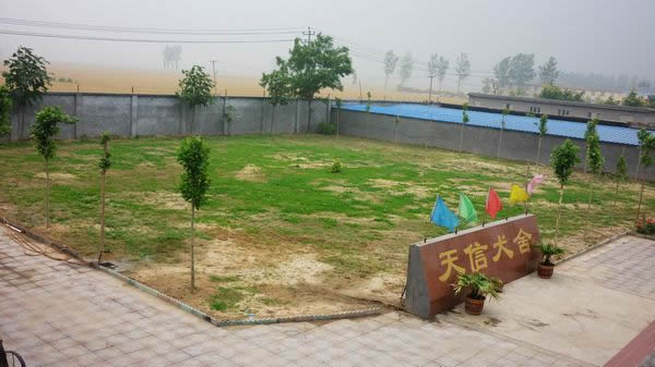 天信地方训练俱乐部