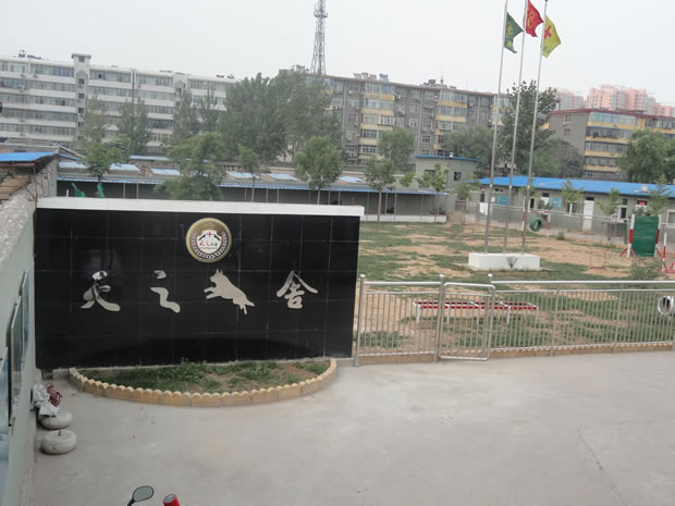 天之地方训练俱乐部