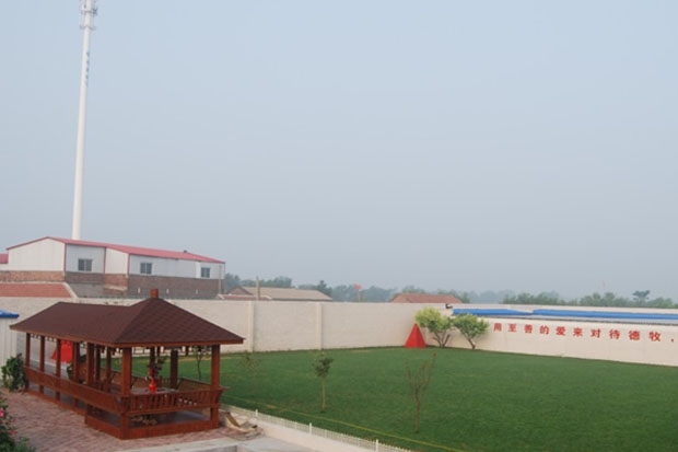育镭地方训练俱乐部