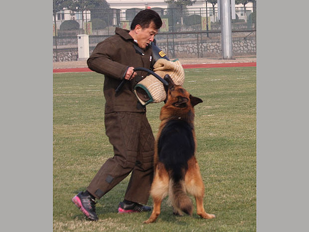 凯旋地方训练俱乐部