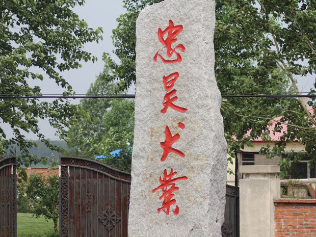 忠昊地方训练俱乐部