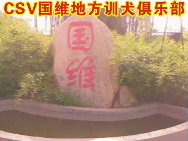 国维地方训练俱乐部