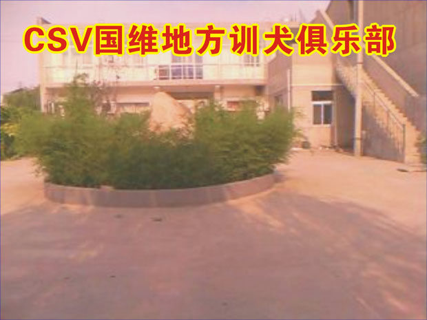 国维地方训练俱乐部