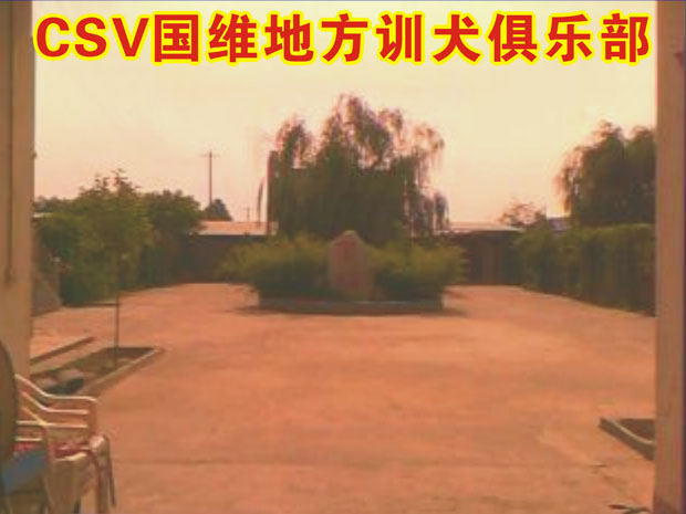国维地方训练俱乐部