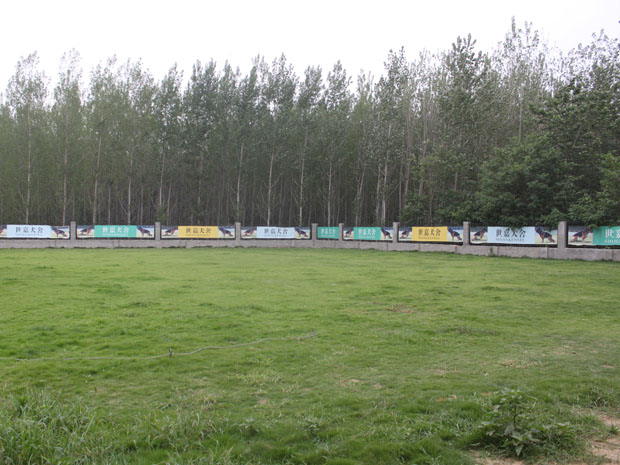 世嘉地方训练俱乐部