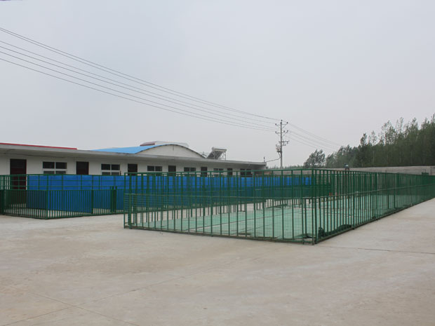 世嘉地方训练俱乐部