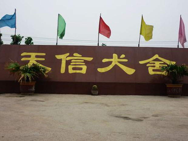 天信地方训练俱乐部