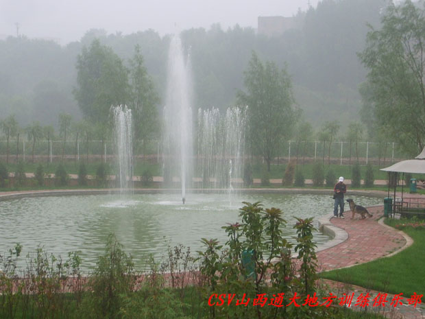 通大地方训练俱乐部
