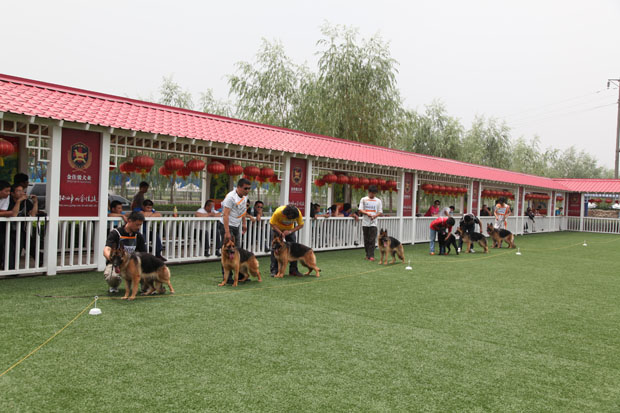 金佳骏地方训练俱乐部