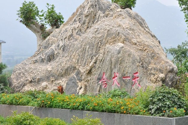 中德天一地方训练俱乐部