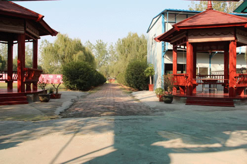 强顺金鑫地方训练俱乐部
