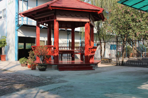 强顺金鑫地方训练俱乐部