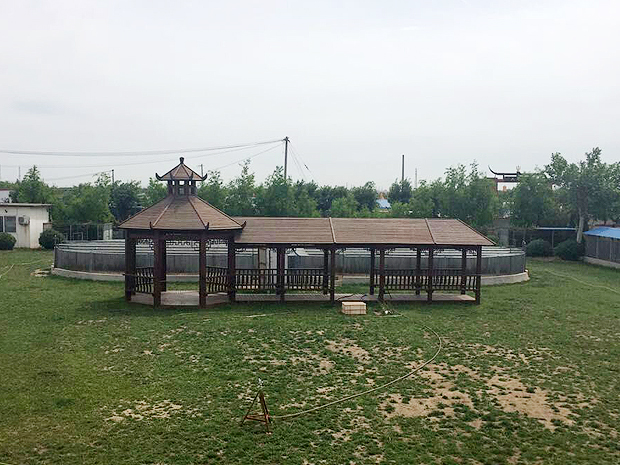 隆晟和地方训练俱乐部